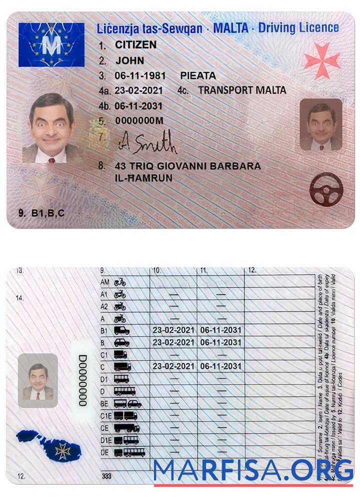 Malta Führerschein Vorlage