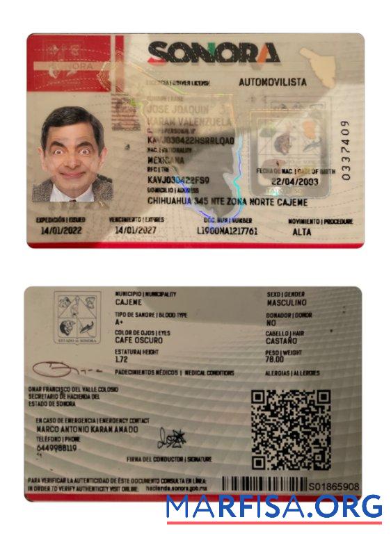 Mexiko Sonora state Führerschein Vorlage