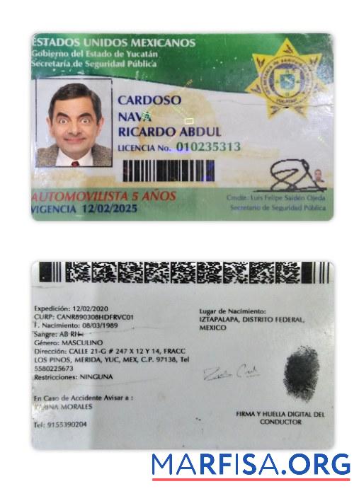 Mexiko Yucatan state Führerschein Vorlage