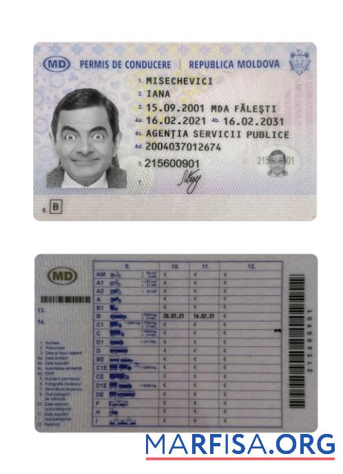 Moldawien Führerschein 2021 Gegenwärtig Design