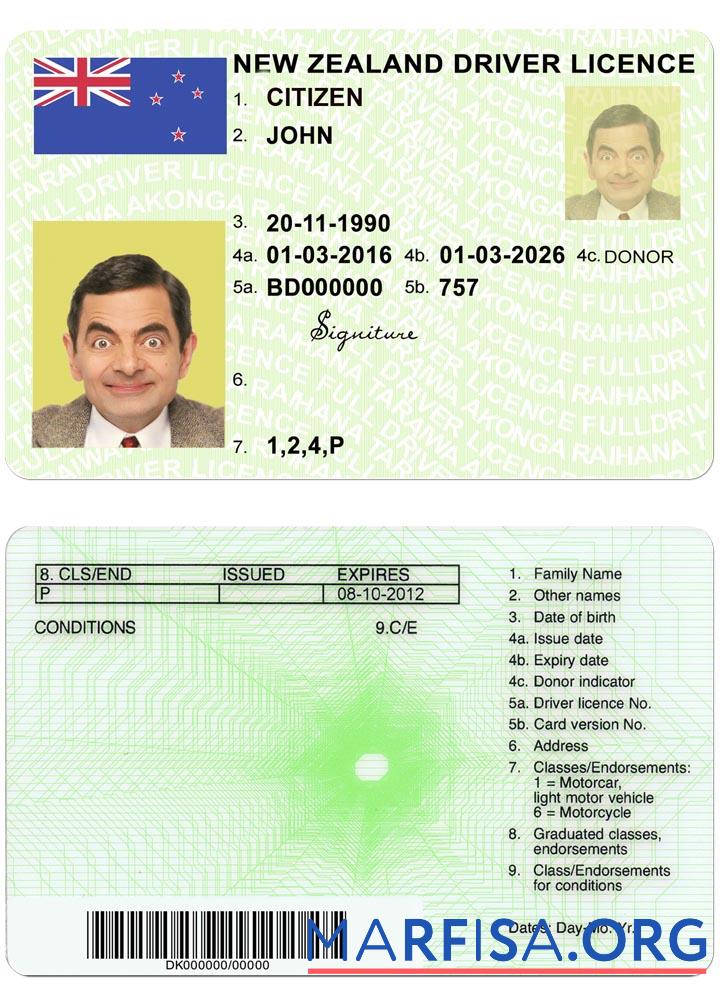 Neuseeland Grün Führerschein (fully qualified) Vorschau