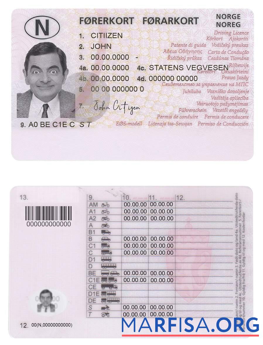 Norwegen Führerschein (2013 ΓÇô Gegenwärtig) Vorlage