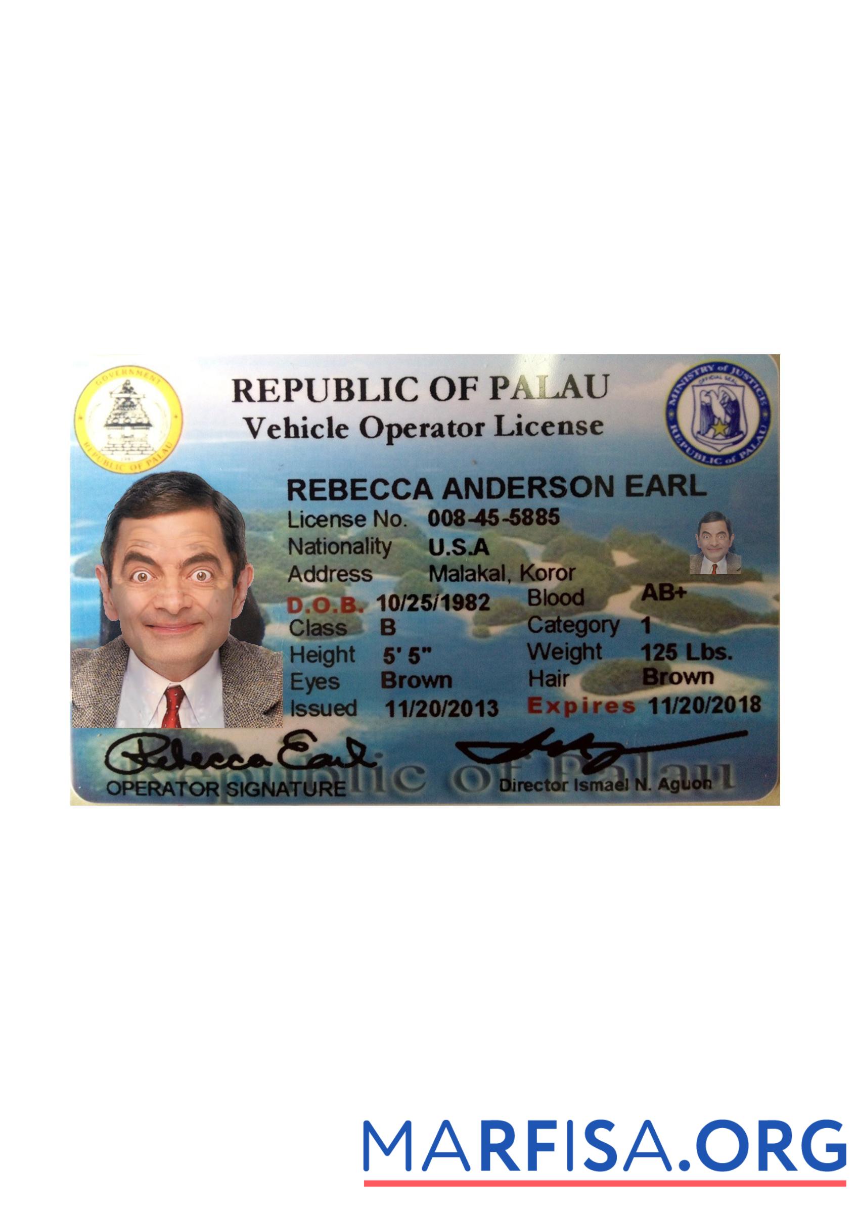 Palau Führerschein Vorderseite side Vorlage