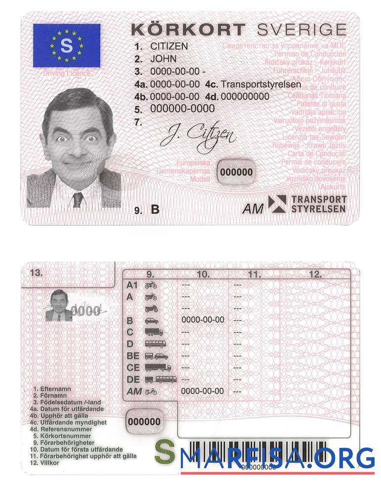 Schweden DL (2009 2016) Vorlage