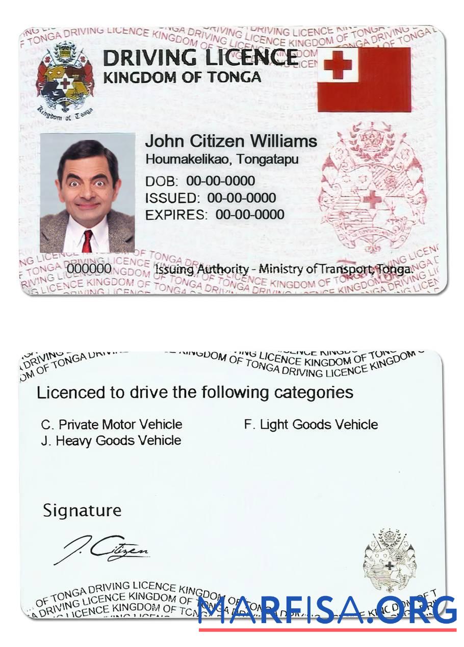 Tonga Führerschein Probe
