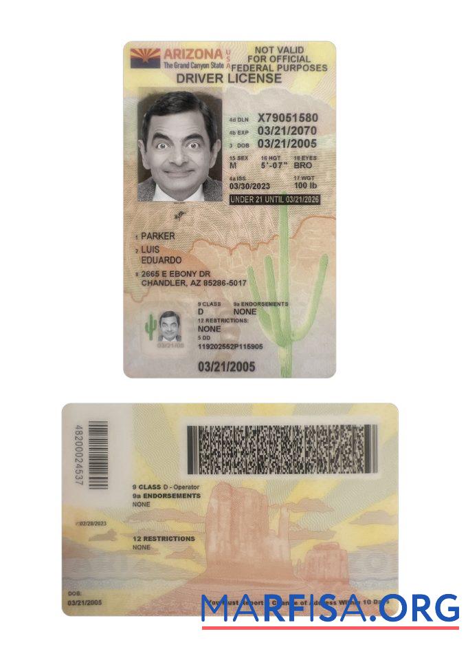 USA Arizona under 21 Führerschein 2023 Gegenwärtig Vorlage