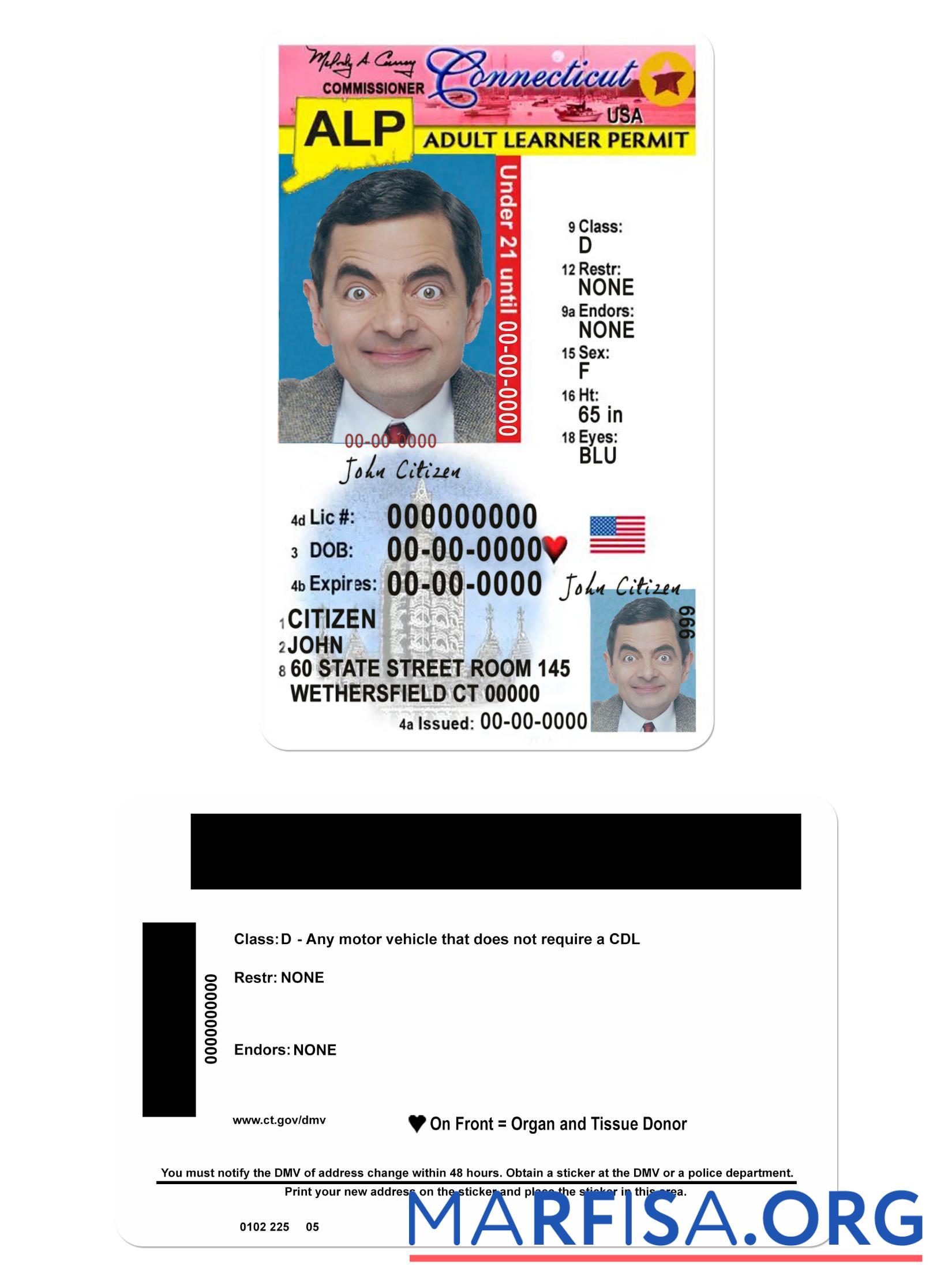 USA Connecticut Führerschein under 21 Vorschau