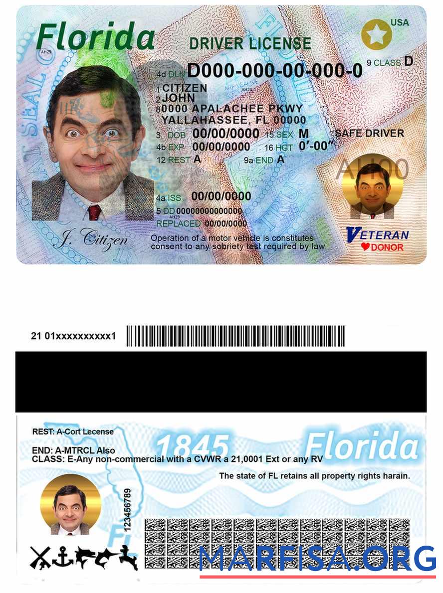 USA Florida Führerschein Mockup