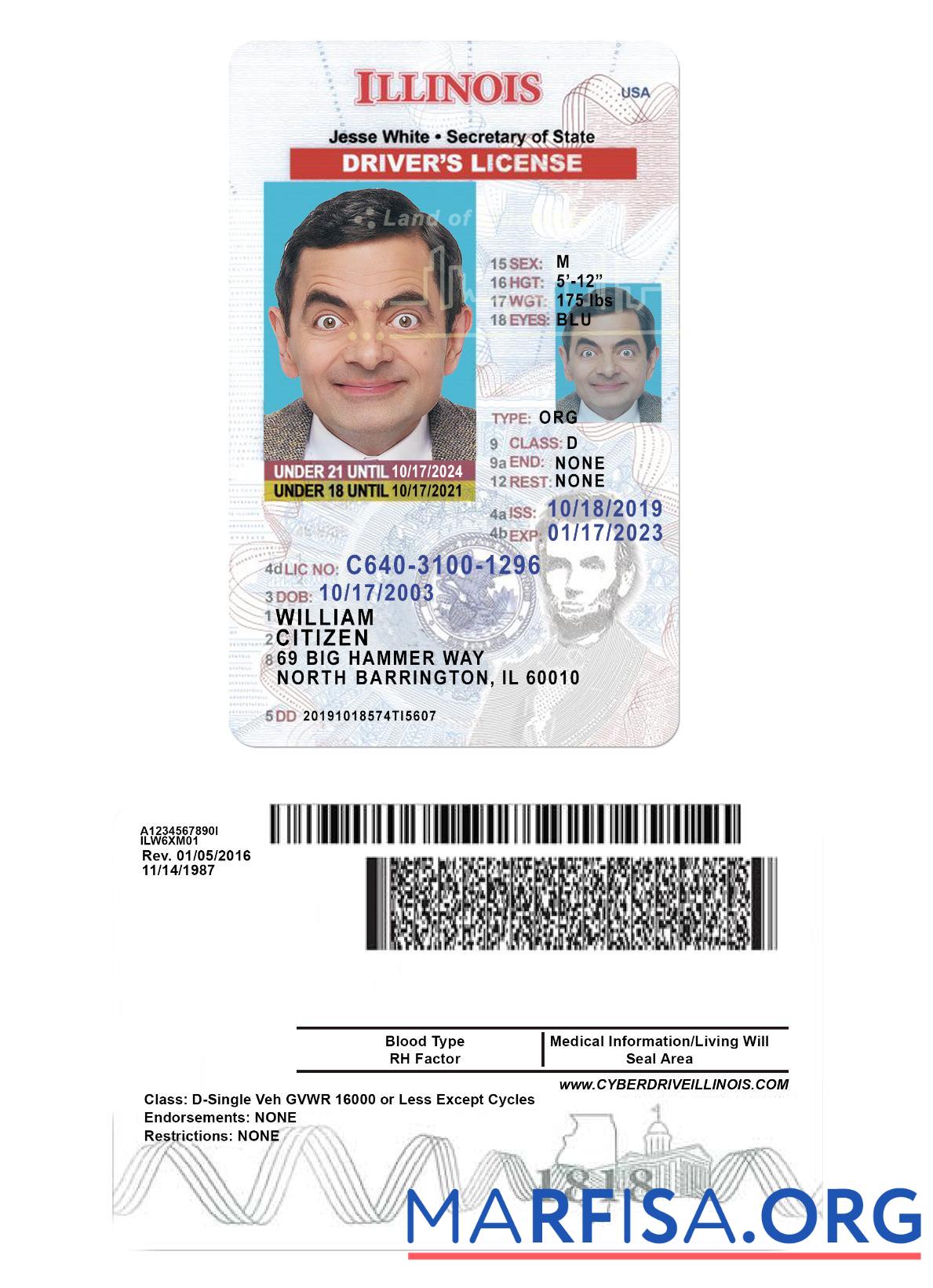 USA Illinois Führerschein under 21 Probe