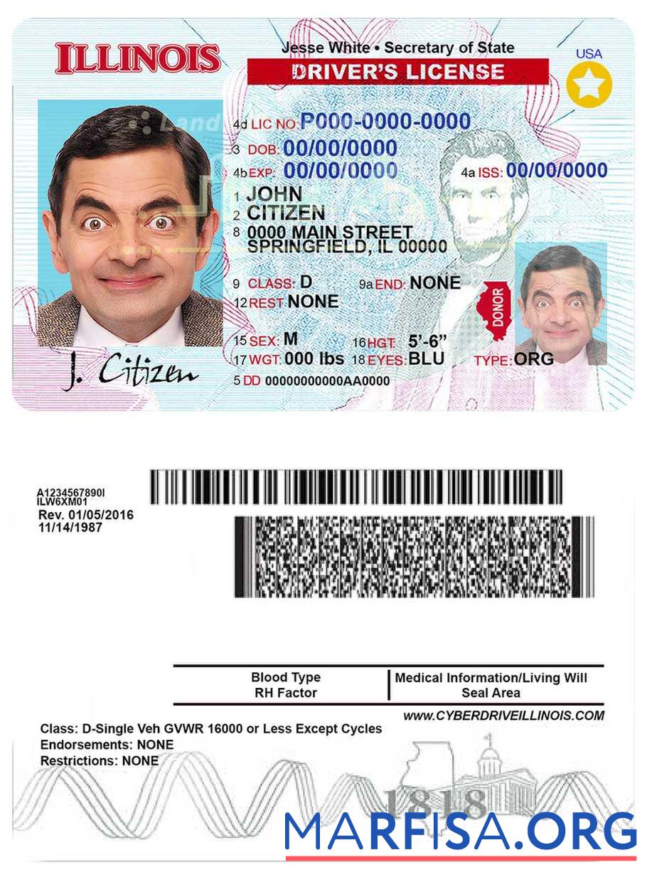 USA Illinois Führerschein Probe