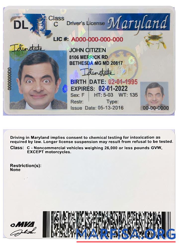 USA Maryland Führerschein 2003 2016 Vorschau