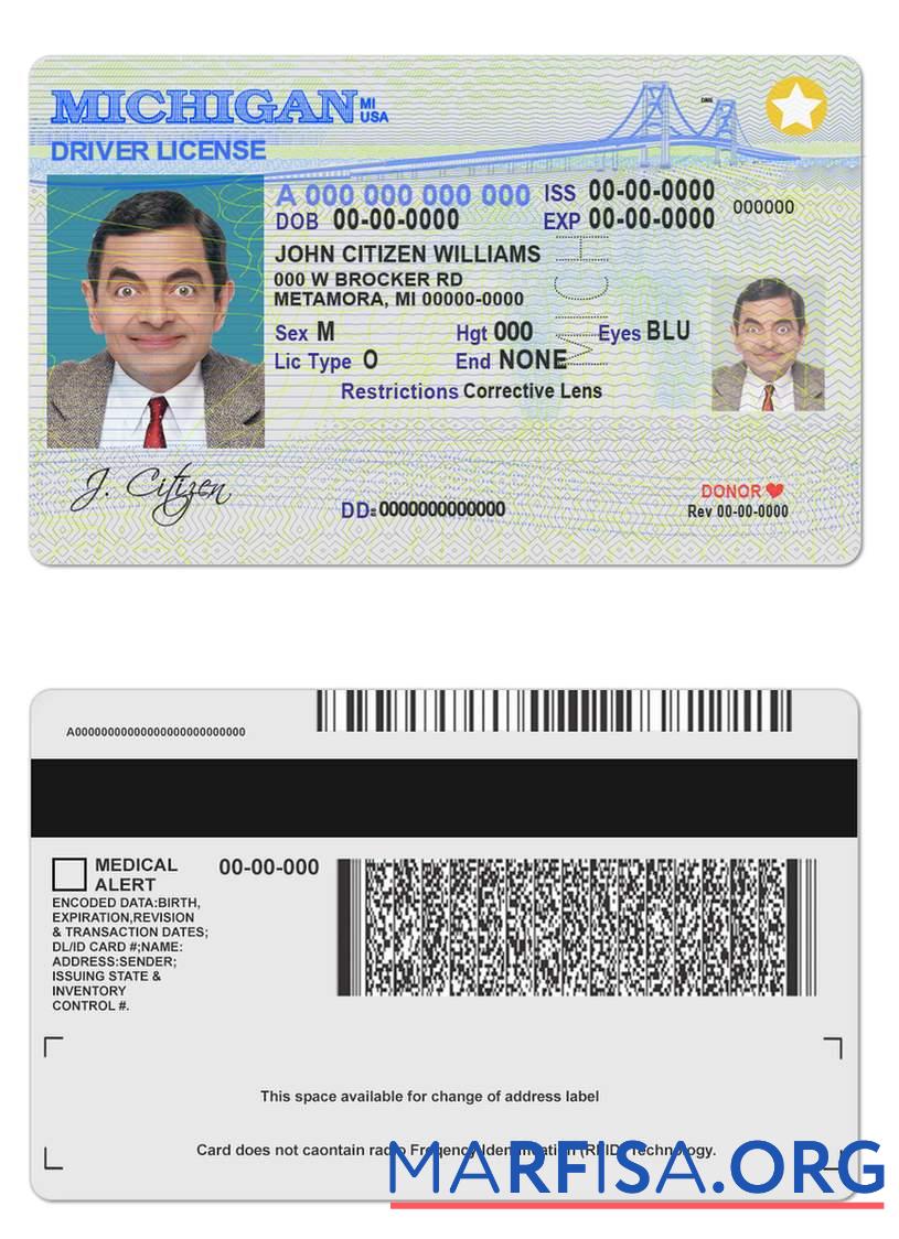 USA Michigan Führerschein Vorschau