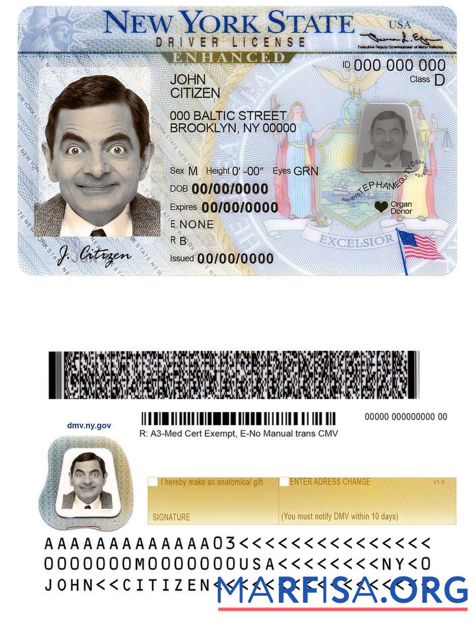 USA Neu York DL Vorlage