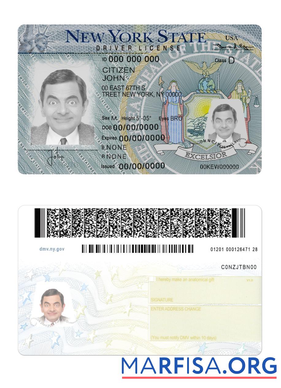 USA Neu York Führerschein Version 2 Vorschau