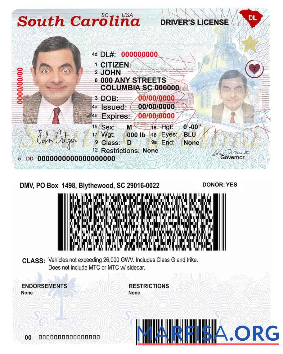 USA South Carolina state Führerschein (2020 ΓÇô Gegenwärtig) Vorlage