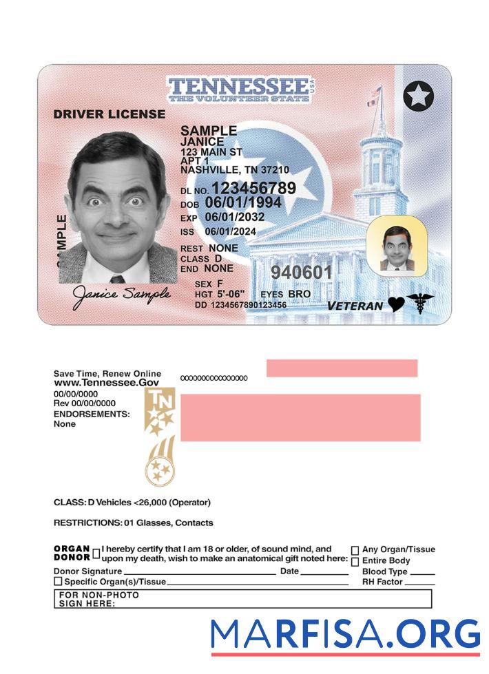 USA Tennessee Führerschein 2024 Gegenwärtig Mockup
