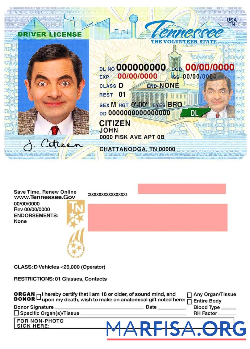 USA Tennessee Führerschein Vorlage