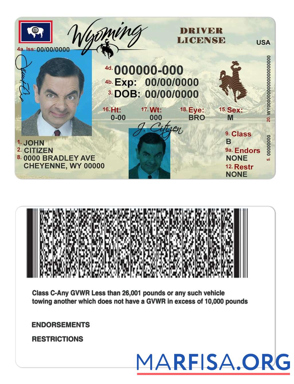 USA Wyoming state Führerschein Design
