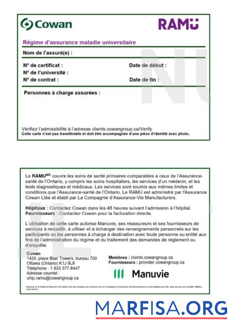 Burkina Faso Gesundheit Versicherung Karte Mockup