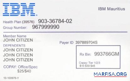 Mauritius Gesundheit Versicherung Karte Mockup