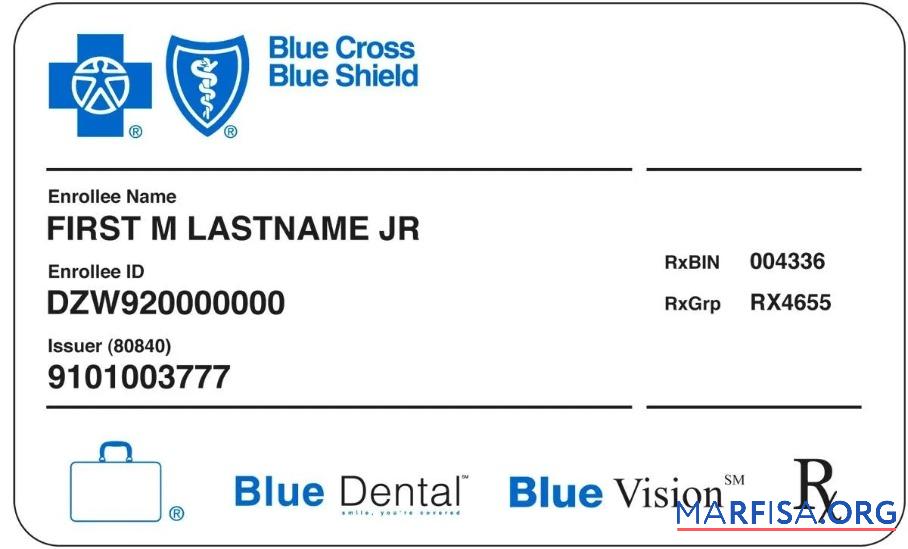USA Blau Cross Blau Shield Gesundheit Versicherung Karte Vorschau