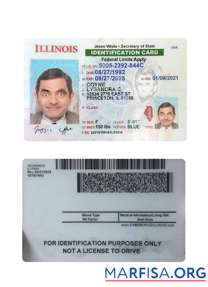 USA Illinois Personalausweis Vorschau