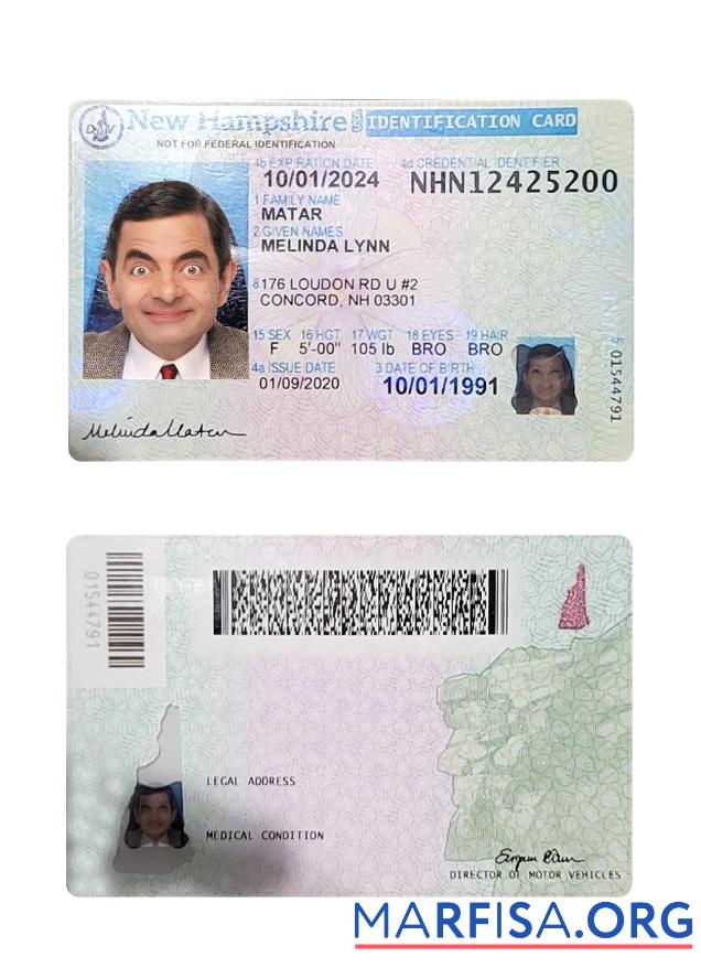 USA Neu Hampshire Personalausweis Vorschau