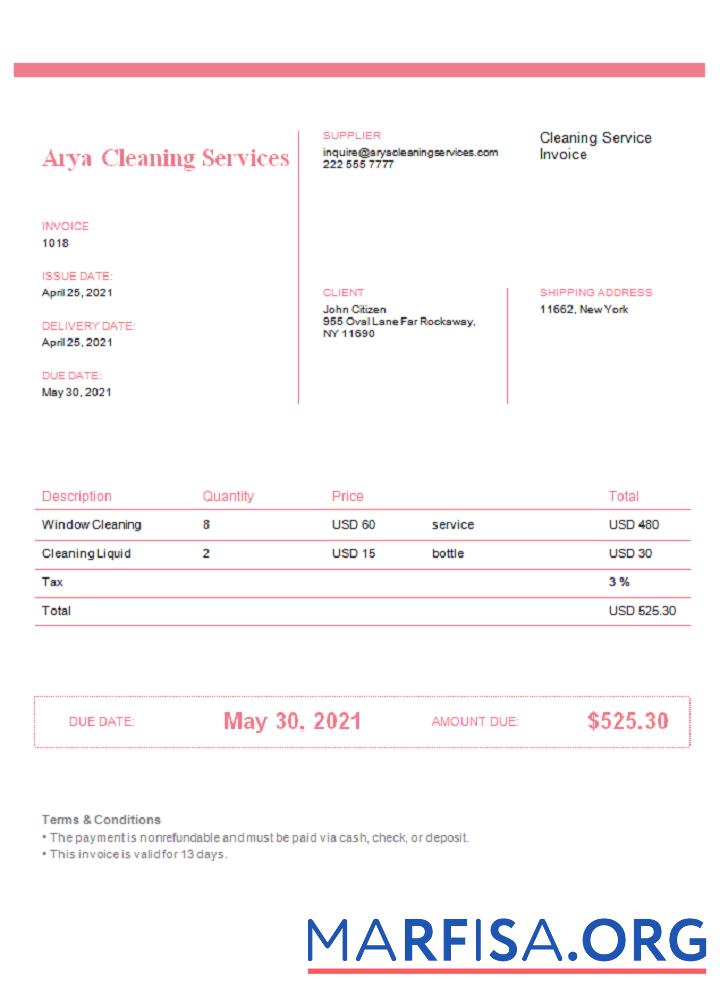 USA Arya Cleaning Services Rechnung Mockup