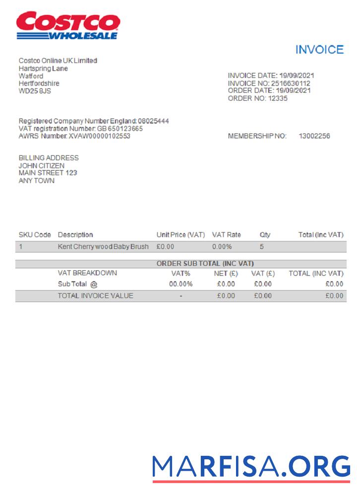 USA Costco Rechnung Mockup