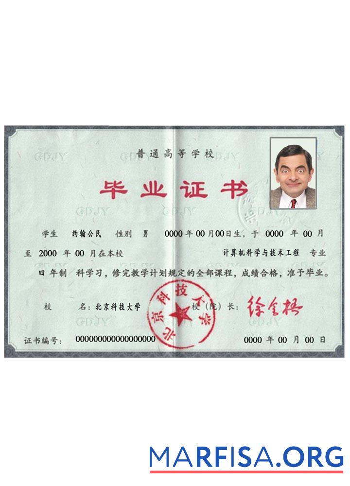 Chinese Диплом PSD макет