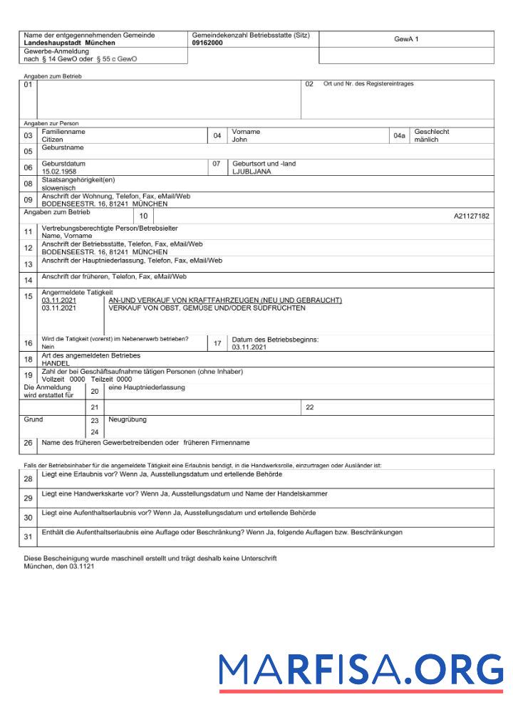 Профессиональный Германия MunicipalityBusiness Регистрация Word and PDF Шаблон