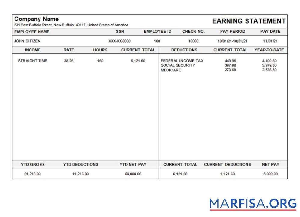 США Michigan pay stub предпросмотр