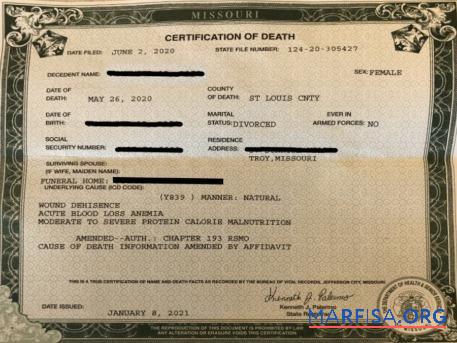 США Missouri department of Здоровье смерть Сертификат предпросмотр