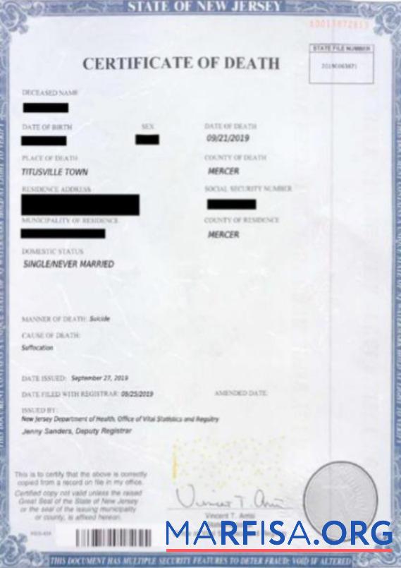 США Office of vital Статистика and registry смерть Сертификат предпросмотр