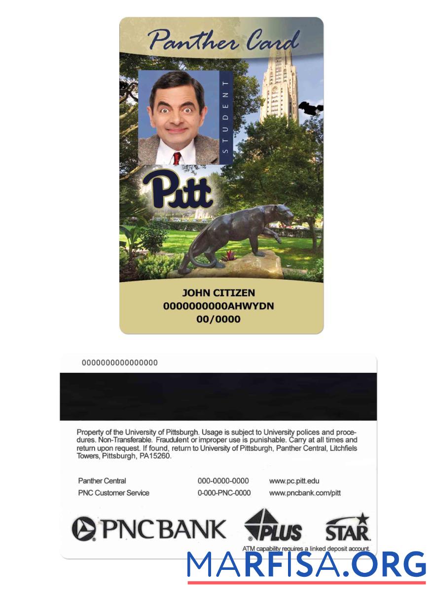 США The университет of Pittsburgh Студент Удостоверение личности, Panther Карта образец