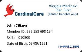 США Virginia Medicaid Plan First Медицинский Карта дизайн