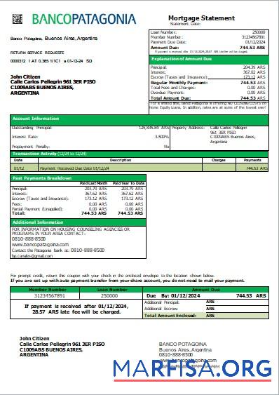 Argentinien Banco Patagonia Bank Hypothek Kontoauszug scr Mockup