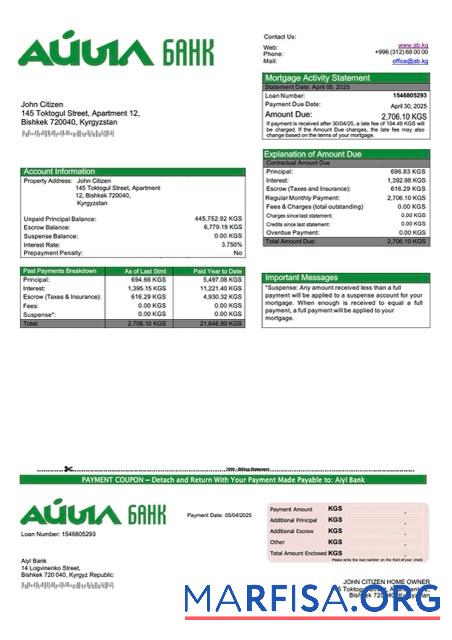 Premium Kirgisistan Aiyl Bank Hypothek Kontoauszug Word and PDF Vorlage