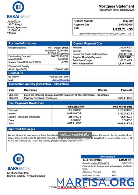 Premium Kirgisistan Bakai Bank Hypothek Kontoauszug Word and PDF Vorlage