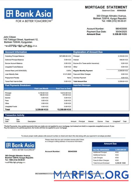 Professionell Kirgisistan Bank of Asia Hypothek Kontoauszug Word and PDF Vorlage