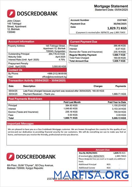 Professionell Kirgisistan Dos Credobank Hypothek Kontoauszug Word and PDF Vorlage