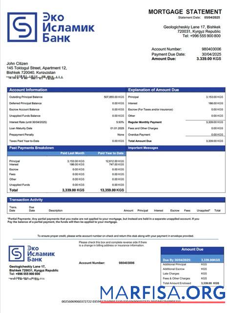 Premium Kirgisistan EcoIslamicBank┬áHypothek Kontoauszug Word and PDF Vorlage