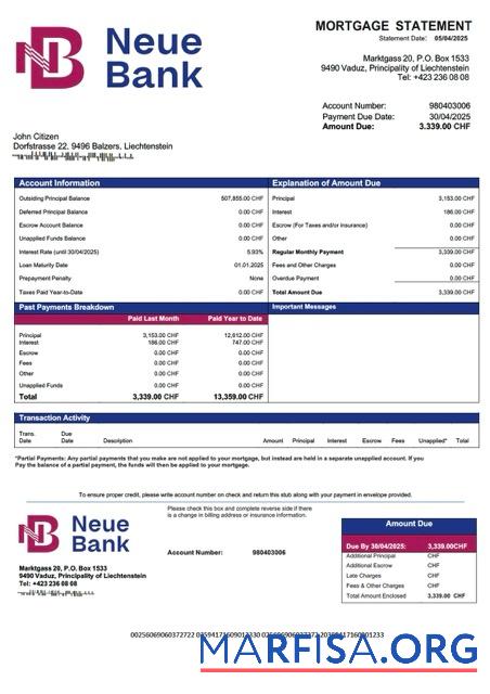 Premium Liechtenstein Neue Bank Hypothek Kontoauszug Word and PDF Vorlage