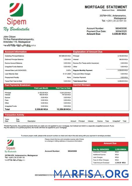 Premium Madagaskar SIPEM Banque Hypothek Kontoauszug Word and PDF Vorlage