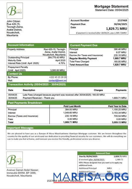 Realistisch Mauretanien Banque Al Wava Mauritanienne Islamique Hypothek Kontoauszug Word and PDF Vorlage