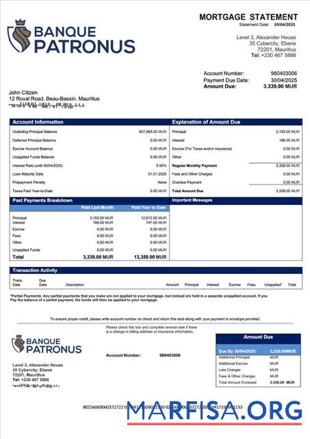 Premium Mauritius Banque Patronus Limite╠üe Hypothek Kontoauszug Word and PDF Vorlage