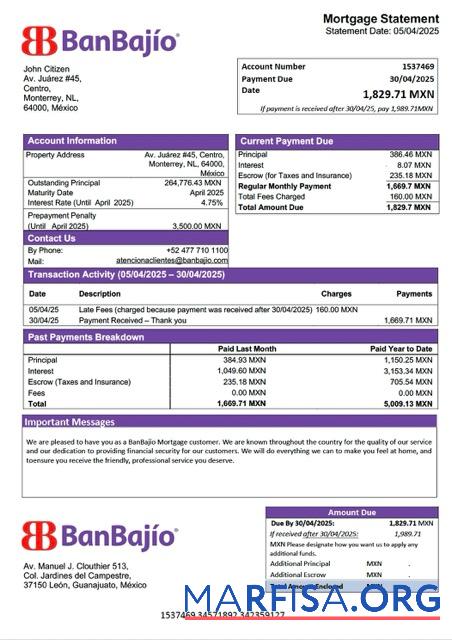 Hohe Qualität Mexiko BanBaji╠üo Hypothek Kontoauszug Word and PDF Vorlage