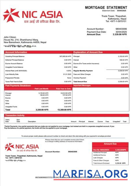 Realistisch Nepal NIC Asia Bank Hypothek Kontoauszug Word and PDF Vorlage