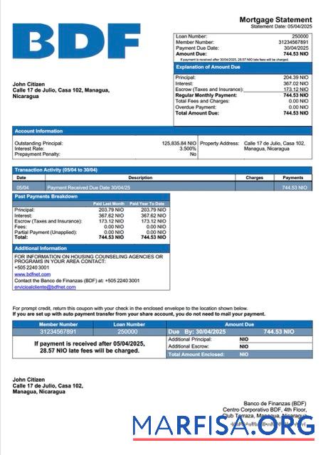 Premium Nicaragua Banco de Finanzas (BDF) Hypothek Kontoauszug Word and PDF Vorlage