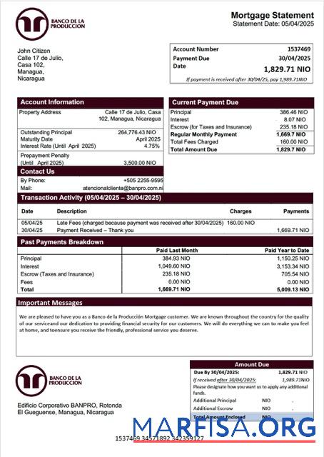 Professionell Nicaragua┬áBanco de la Produccio╠ün Hypothek Kontoauszug Word and PDF Vorlage
